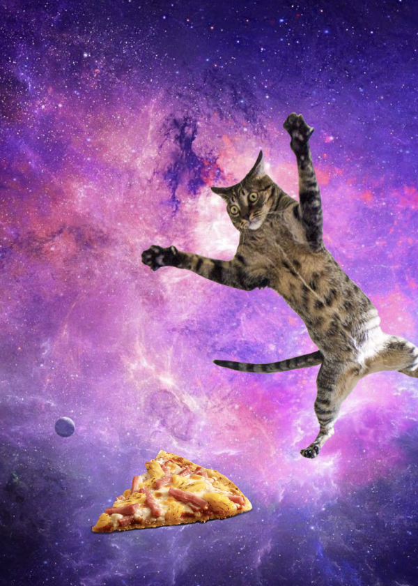Animated thumbnail for Give the Cat a Pizza (2016) by Talia Cotton
