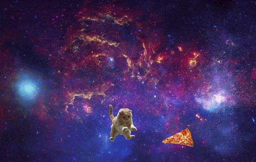 Animated thumbnail for Give the Cat a Pizza (2016) by Talia Cotton